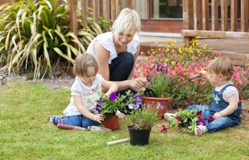 Regular lawn and border care for a neat garden