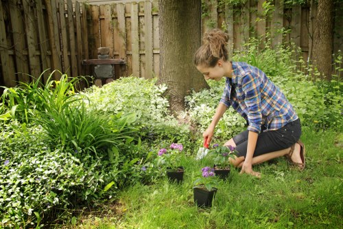 Clearing overgrown garden areas before maintenance