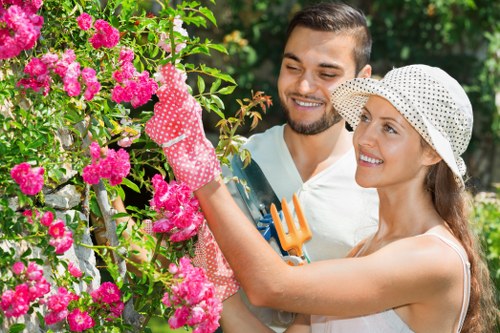 Pruned shrubs and hedges in a Barking garden