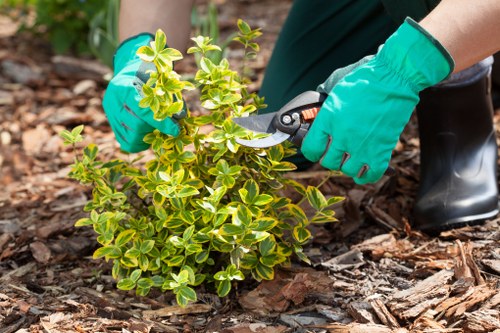 Professional gardeners working in Barking